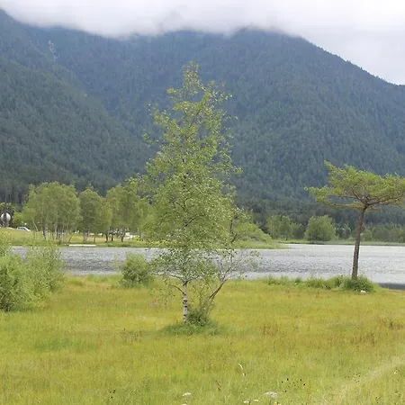 Konukevi Haus Almrausch Seefeld in Tirol