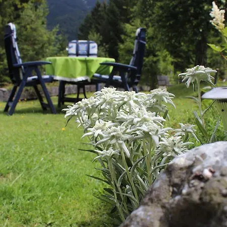 Haus Almrausch Seefeld w Tirolu