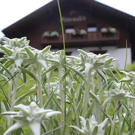 Haus Almrausch * Seefeld in Tirol