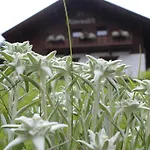 Haus Almrausch * Seefeld in Tirol