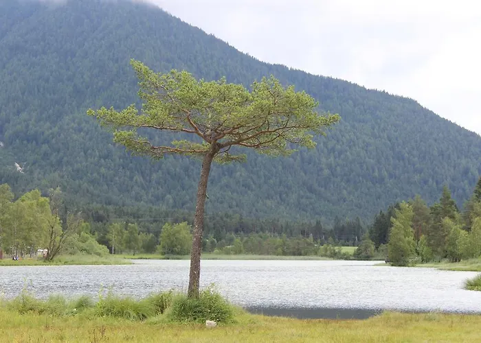Haus Almrausch Maison d'hôtes Seefeld in Tirol