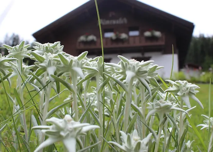 Haus Almrausch * Seefeld in Tirol