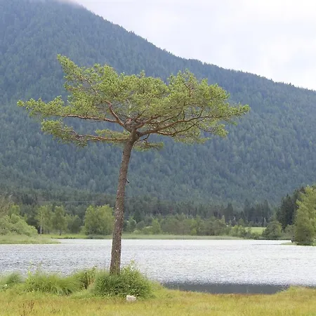 Haus Almrausch Casa de hóspedes Seefeld in Tirol